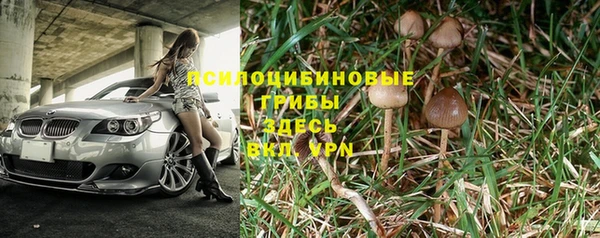тгк Аркадак