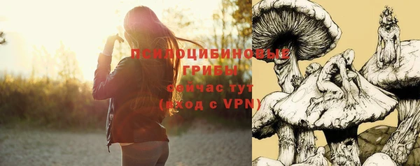 стаф Армянск