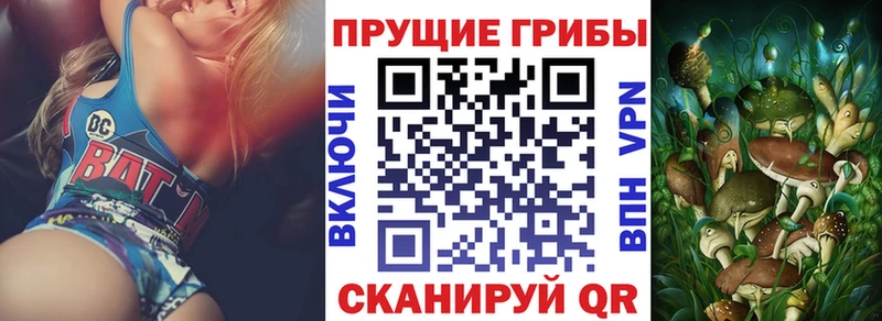 Псилоцибиновые грибы Psilocybe Оханск